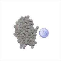 Lentil seeds (Large-seeded)