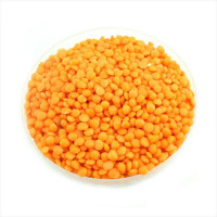 Lentil seeds red «Canadian»