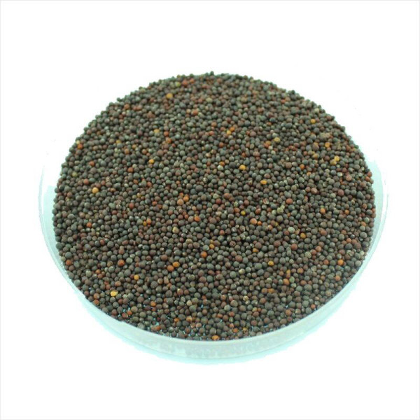 Spinach seeds «Komatsuna Red»