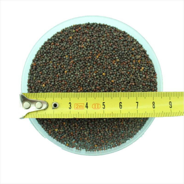 Spinach seeds «Komatsuna Red»