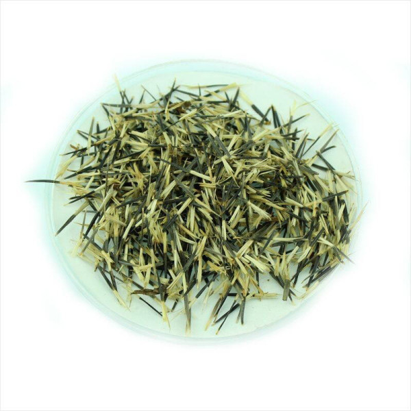 Marigold seeds «Harmony»