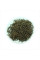 Cosmos seeds «Mix»