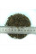 Cosmos seeds «Mix»