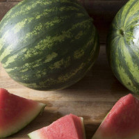 Watermelon seeds «Wizard»