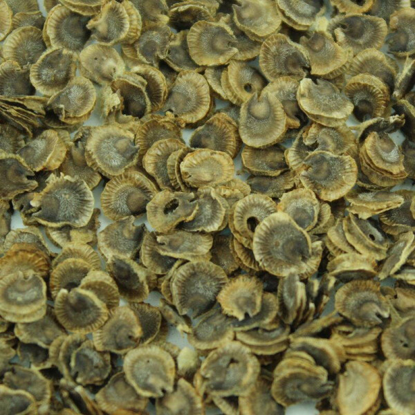 Mallow seeds «Yellow»
