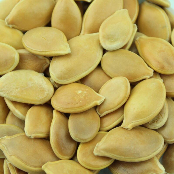 Pumpkin seeds «Winter sweet»