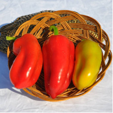 Sweet pepper seeds «First swallow»