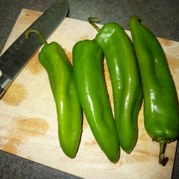 Hot pepper seeds «Anaheim»