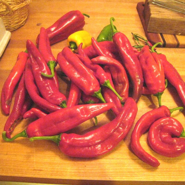 Hot pepper seeds «Anaheim»