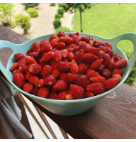 Strawberry seeds «Glitter of Stars»