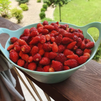 Strawberry seeds «Glitter of Stars»