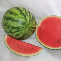 Watermelon seeds «Victoria»  F1