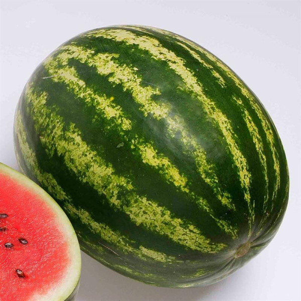 Watermelon seeds «Top Gun» F1