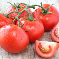 Tomato seeds «Volgogradsky 5/95»