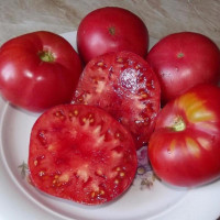 Tomato seeds «Pink cheeks»