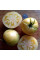 Tomato seeds «White zebra»