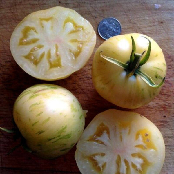 Tomato seeds «White zebra»