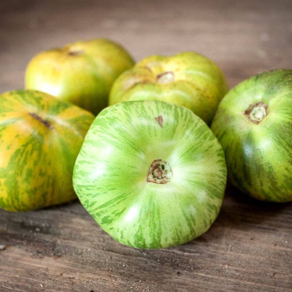 Tomato seeds «White zebra»