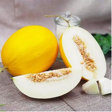 Melon seeds «Muscat»