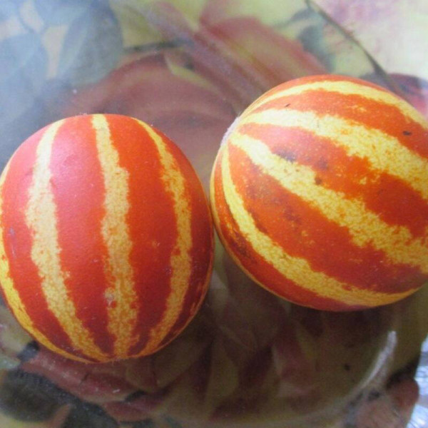Melon seeds «Gift from Ho Chi Minh Grandpa»