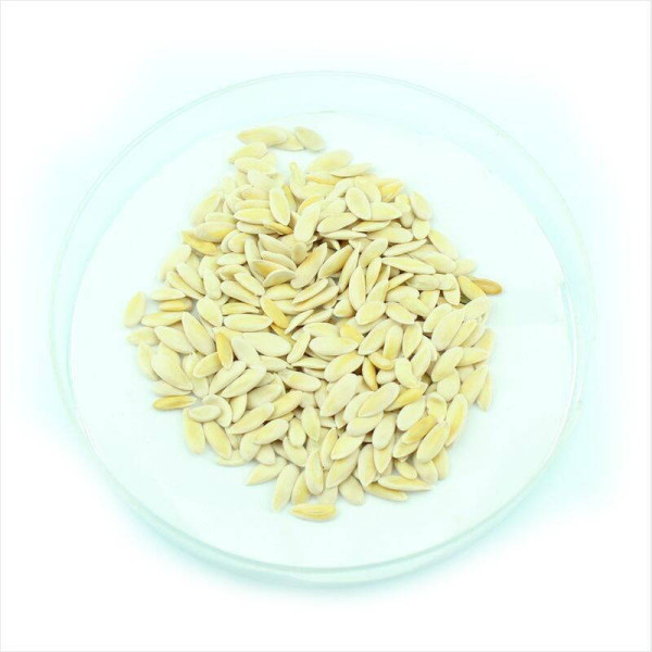 Melon seeds «Gift from Ho Chi Minh Grandpa»