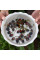 Lotus seeds «Mix»