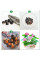 Lotus seeds «Mix»