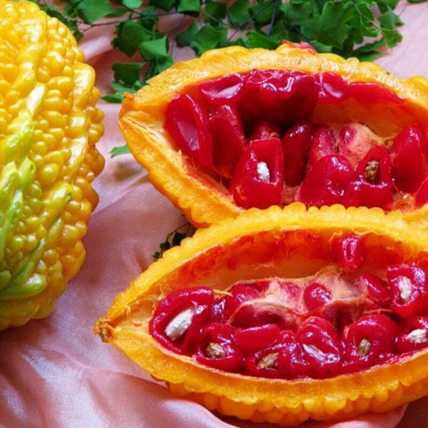 Семена момордики (горького огурца)