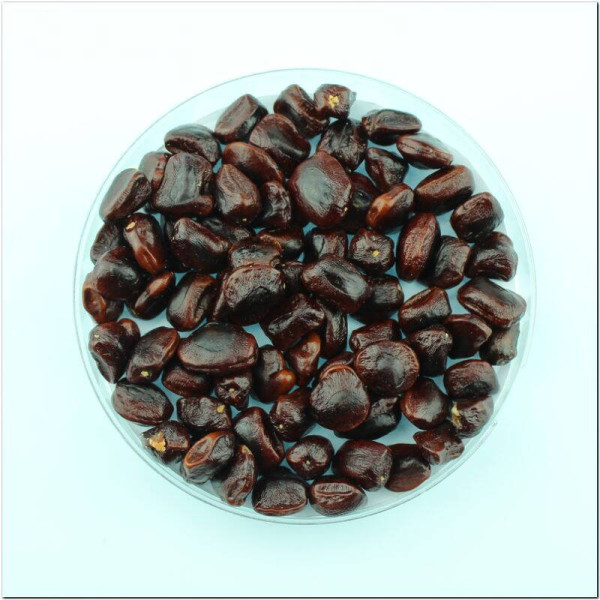 Tamarind seeds