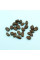 Pawpaw seeds