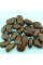 Pawpaw seeds