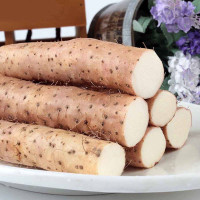 Chinese yam seeds