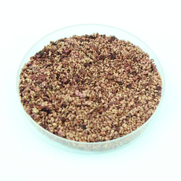 Black raspberry seeds «Cumberland»