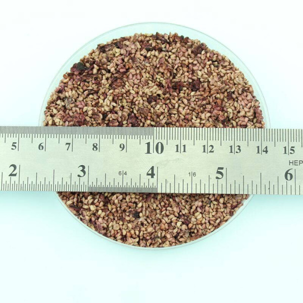 Black raspberry seeds «Cumberland»