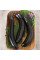 Eggplant seeds «Serpentine»