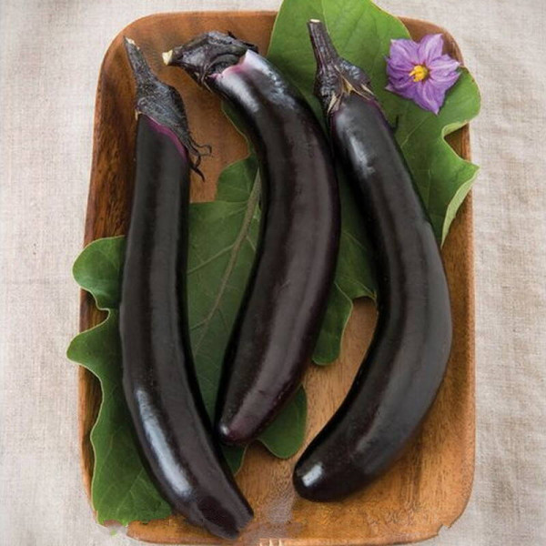 Eggplant seeds «Serpentine»