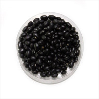 Bean seeds «Preto»