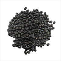Bean seeds «Black turtle»