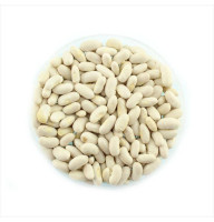 Bean seeds «Golden Saxa»