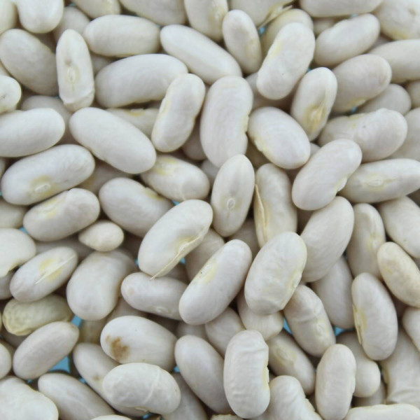 Bean seeds «Golden Saxa»