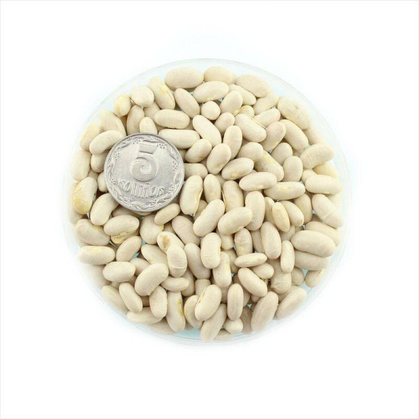 Bean seeds «Golden Saxa»