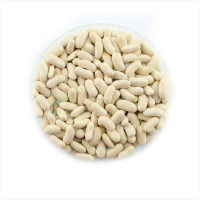 Bean seeds «Homestead»