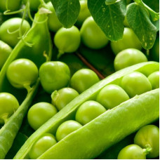 Pea seeds «Vegetable miracle»