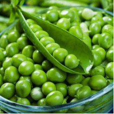 Pea seeds «Idalgo»