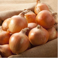 Onion seeds «Stryhunivskyy»