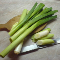 Leek seeds «Good fellow»