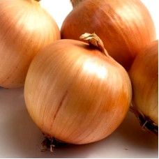 Onion seeds «Globe»