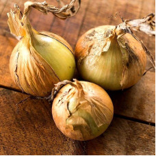 Onion seeds «Etalon gold»