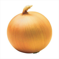 Onion seeds «Donetsk golden»
