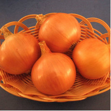 Onion seeds «Varangian»